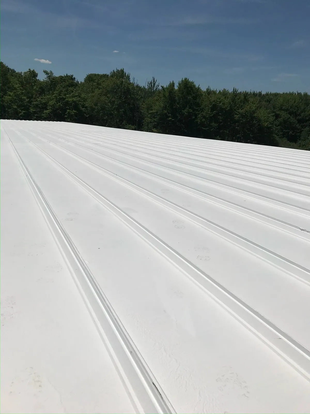 Standing seam metal roof restored with a white reflective coating